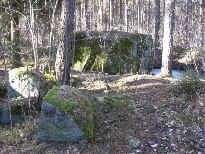 Evil Woods.... for ritual offering?